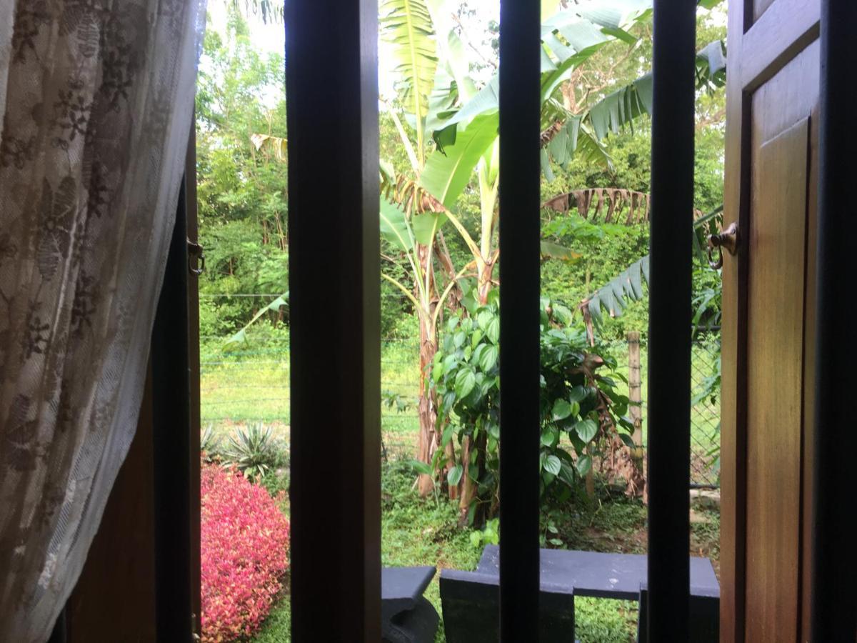 Owls Nest Hotel Udawalawe Bagian luar foto