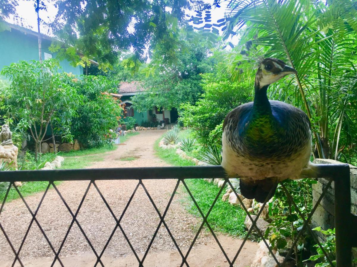 Owls Nest Hotel Udawalawe Bagian luar foto