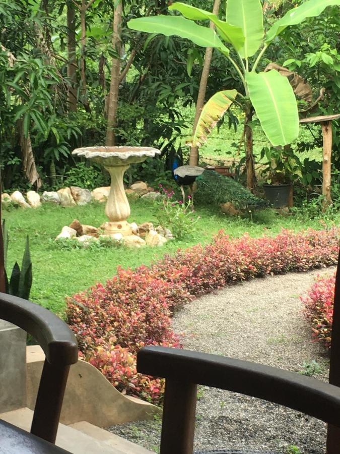 Owls Nest Hotel Udawalawe Bagian luar foto