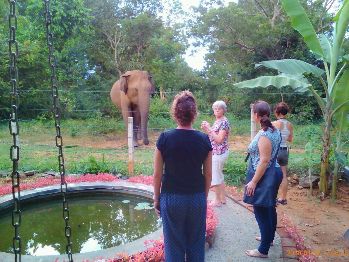 Owls Nest Hotel Udawalawe Bagian luar foto