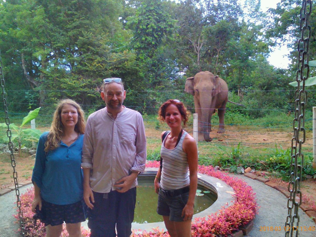 Owls Nest Hotel Udawalawe Bagian luar foto