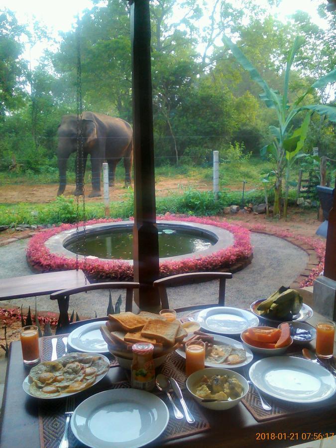 Owls Nest Hotel Udawalawe Bagian luar foto